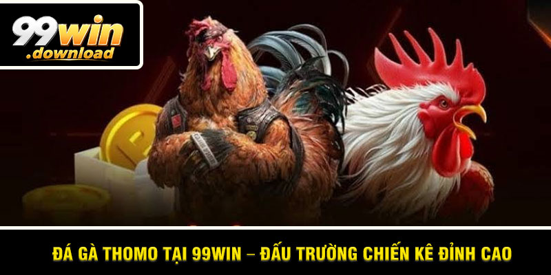 Đá Gà Thomo tại 99win – Đấu Trường Chiến Kê Đỉnh Cao