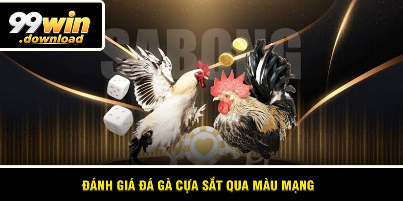 Đánh giá đá gà cựa sắt qua màu mạng