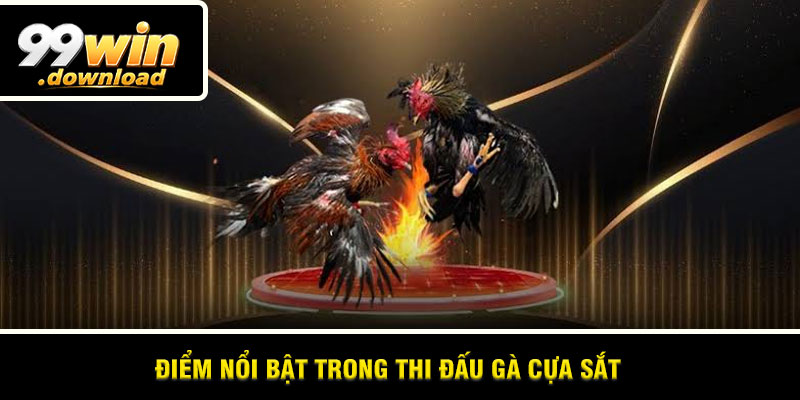 Điểm nổi bật trong thi đấu gà cựa sắt