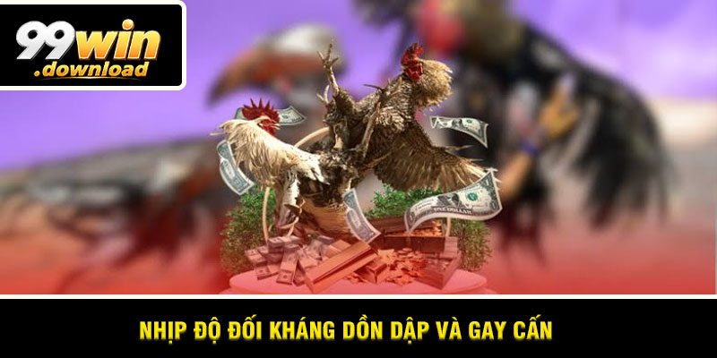 Nhịp độ đối kháng dồn dập và gay cấn