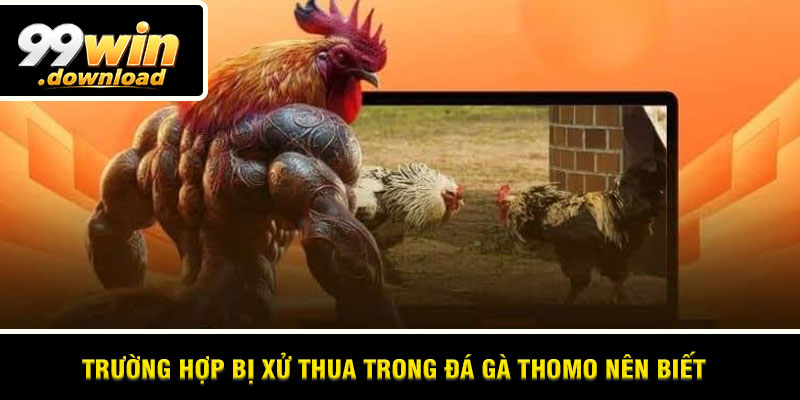Trường hợp bị xử thua trong đá gà Thomo nên biết